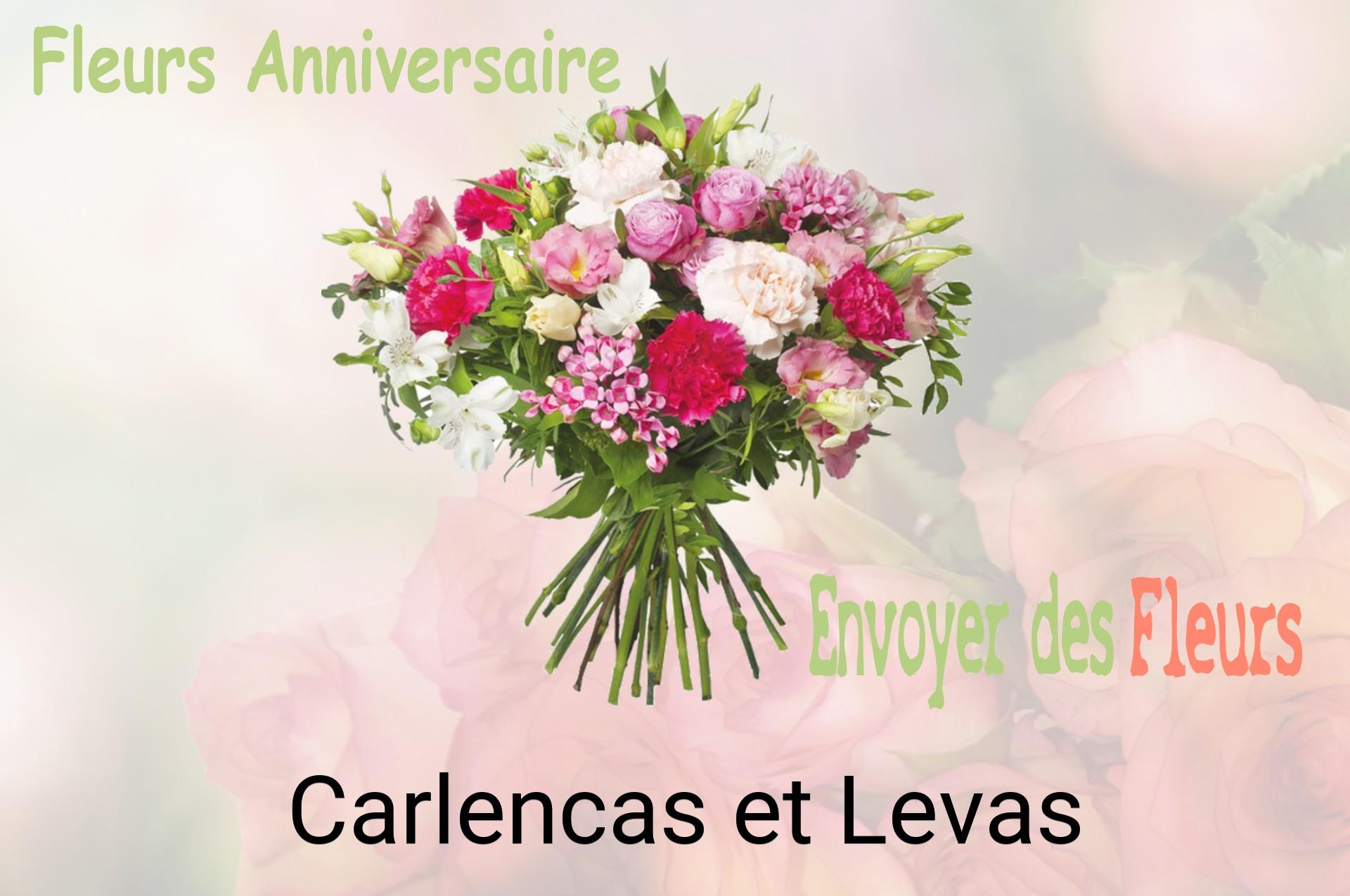 Bouquet de fleurs d’anniversaire livré à Carlencas-et-Levas