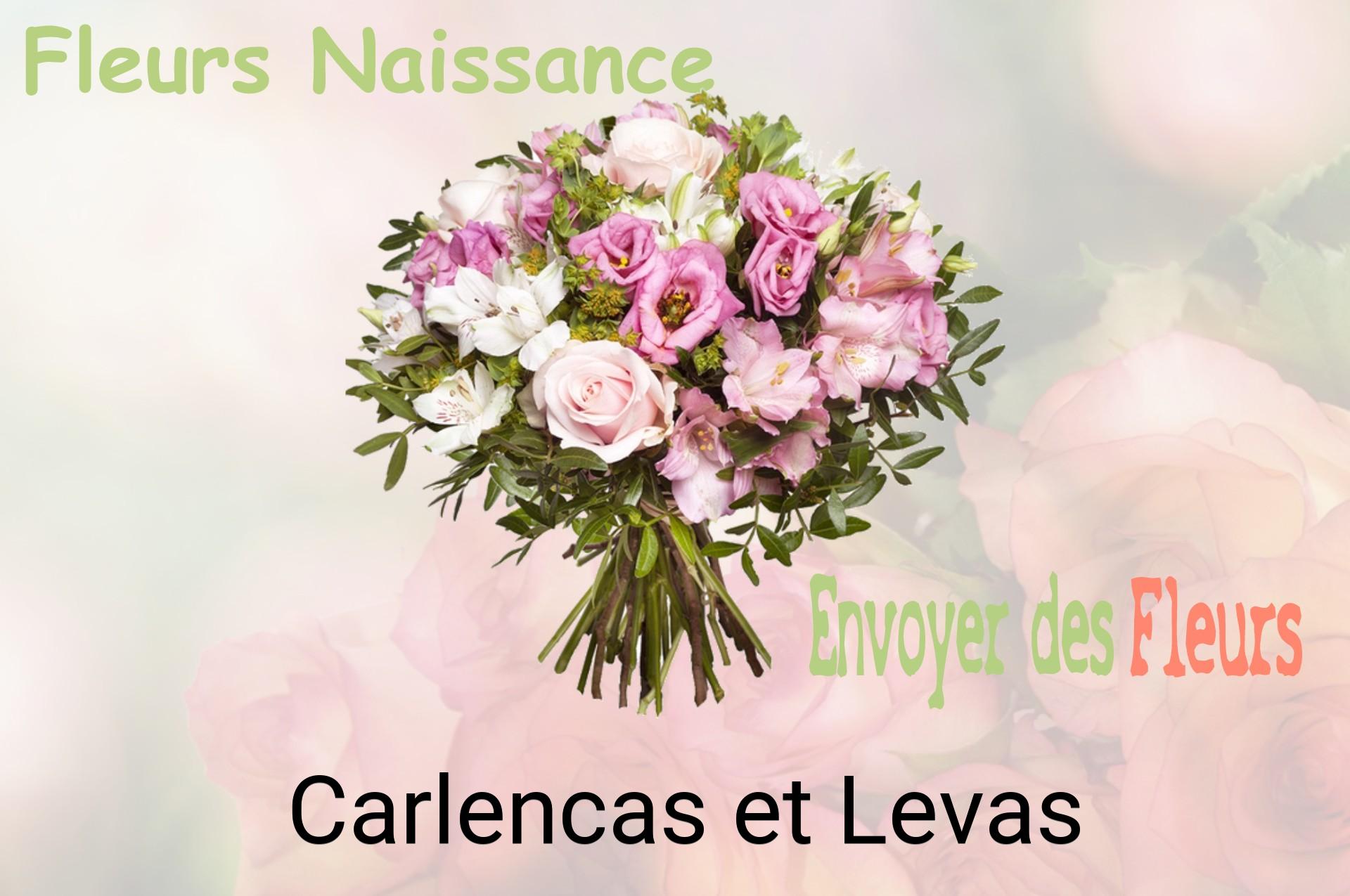 Bouquet de fleurs de naissance livré à Carlencas-et-Levas