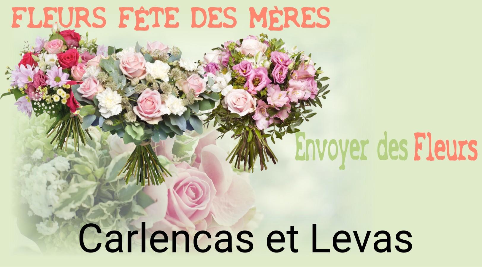 Bouquet de Fête des Mères livré à Carlencas-et-Levas